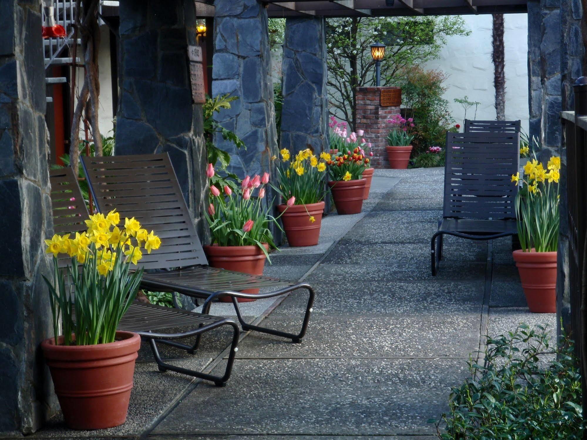 Roman Spa Resort Calistoga Eksteriør billede